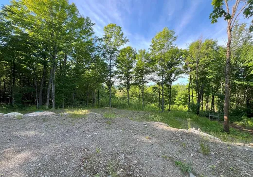 Terrain à vendre - 213 Grand ch. de l'Est, Notre-Dame-Des-Boies, J0B 2E0