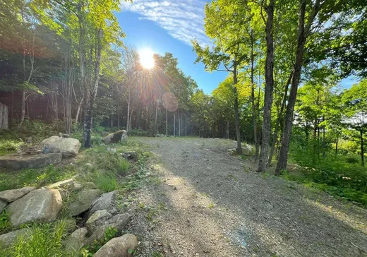 Terrain à vendre - 213 Grand ch. de l'Est, Notre-Dame-Des-Boies, J0B 2E0