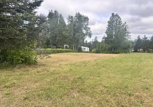 Terrain à vendre -  1re Rue, Lac-Saint-Paul, J0W 1K0