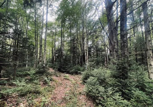 Terrain à vendre - 439 10e Rang, Richmond, J0B 2B0
