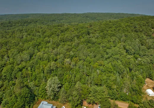 Land for Sale -  Ch. des Bouleaux-Blancs, St-Didace, J0K 2G0
