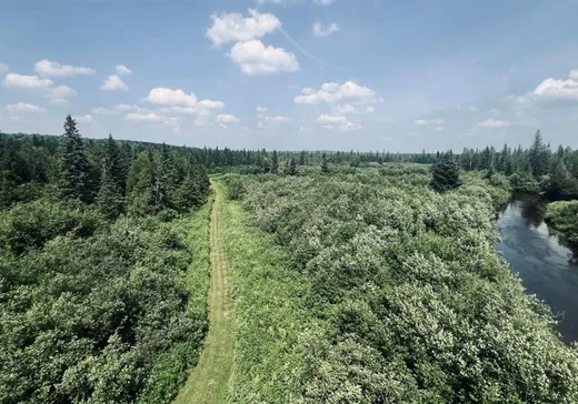 Land for Sale - 185A Rang A, Saint-Cyprien-Des-Etchemins, G0R 1B0