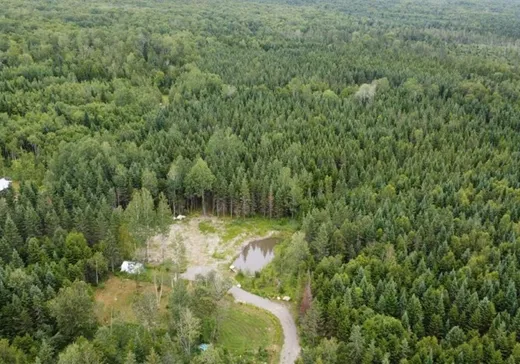 Terrain à vendre - 224 Route de l'Église, Notre-Dame-Des-Boies, J0B 2E0