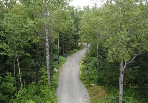 Terrain à vendre - 224 Route de l'Église, Notre-Dame-Des-Boies, J0B 2E0