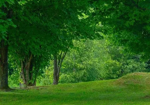 Land for Sale - 1140Z Ch. Principal, St-Mathieu-Du-Parc, G0X 1N0