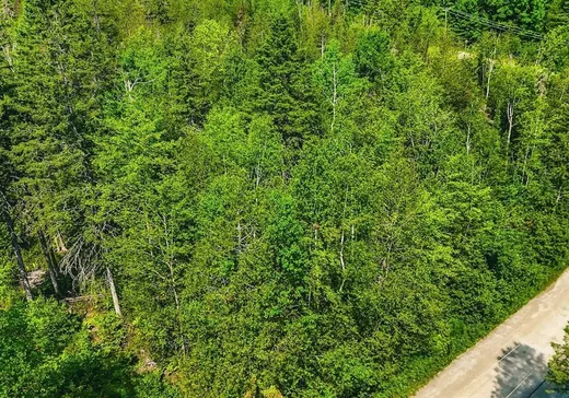 Terrain à vendre - 167 Ch. Lafrenière, Val-des-Monts, J8N 7J6
