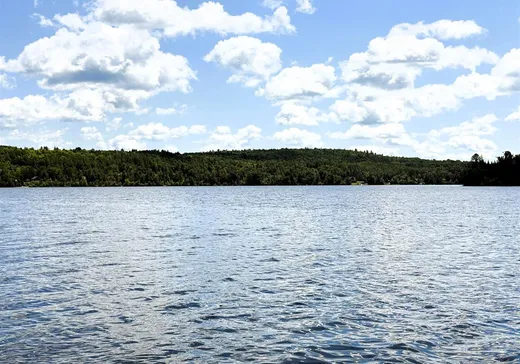 Terrain à vendre - 26 Ch. de la Baie-Thompson, Mont-Laurier, J0W1W0