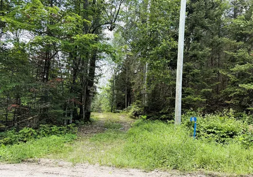 Terrain à vendre - 26 Ch. de la Baie-Thompson, Mont-Laurier, J0W 1W0