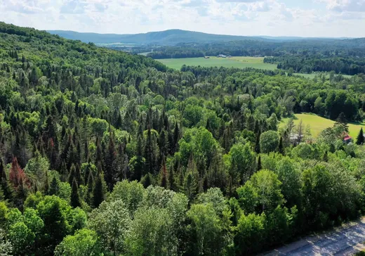 Land for Sale -  Ch. St-François, Kiamika, J0W 1G0