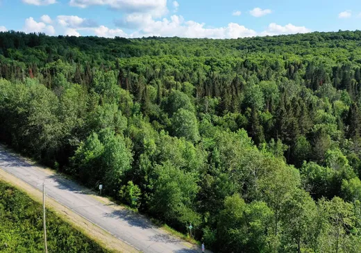 Land for Sale -  Ch. St-François, Kiamika, J0W 1G0