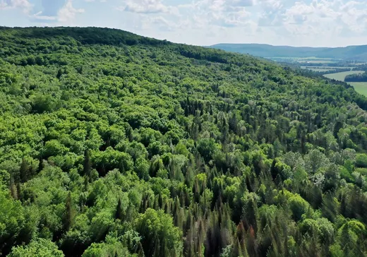Land for Sale -  Ch. St-François, Kiamika, J0W 1G0