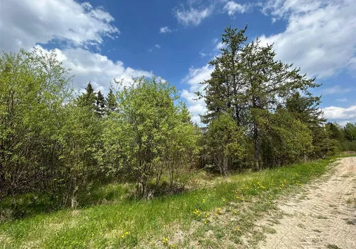 Terrain à vendre - 9 4e Rang, Saint-Édouard-de-Fabre, J0Z 1Z0