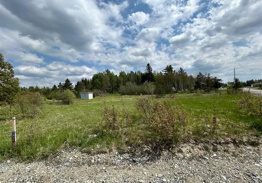 Terrain à vendre - 7 4e Rang, Saint-Édouard-de-Fabre, J0Z 1Z0
