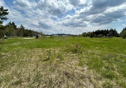 Terrain à vendre - 5 4e Rang, Saint-Édouard-de-Fabre, J0Z 1Z0