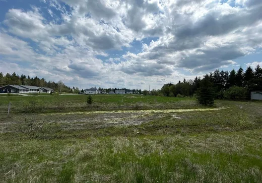 Terrain à vendre - 1 4e Rang, Saint-Édouard-de-Fabre, J0Z 1Z0