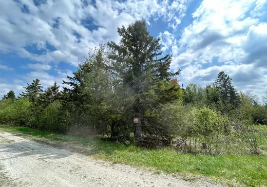Terrain à vendre - 12 4e Rang, Saint-Édouard-de-Fabre, J0Z 1Z0