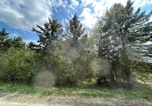 Terrain à vendre - 12 4e Rang, Saint-Édouard-de-Fabre, J0Z 1Z0