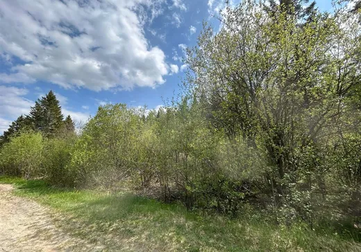 Terrain à vendre - 12 4e Rang, Saint-Édouard-de-Fabre, J0Z 1Z0