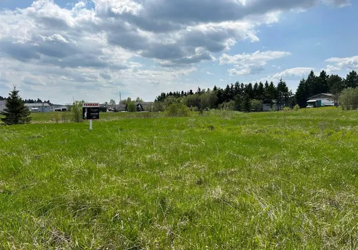 Terrain à vendre - 6 4e Rang, Saint-Édouard-de-Fabre, J0Z 1Z0
