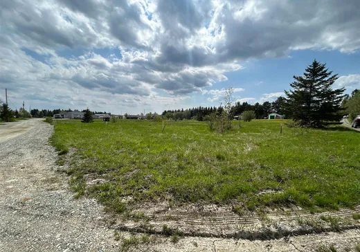 Terrain à vendre - 6 4e Rang, Saint-Édouard-de-Fabre, J0Z 1Z0
