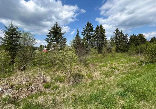 Terrain à vendre - 8 4e Rang, Saint-Édouard-de-Fabre, J0Z 1Z0