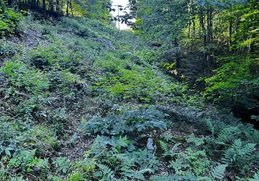 Land for Sale -  Ch. Glen, Wentworth, J8H 0C2