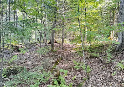 Land for Sale -  Ch. Glen, Wentworth, J8H 0C2