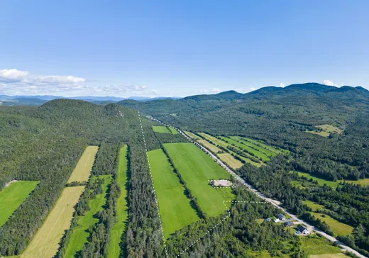 Land for Sale -  Rg Ste-Catherine, Les Éboulements, G0A 2M0