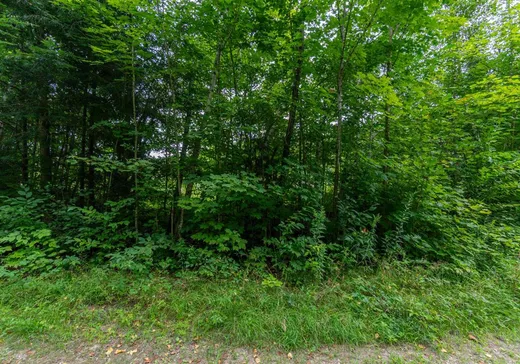 Terrain à vendre - 7 Imp. Ellora, Bolton-Est, J0E 1G0