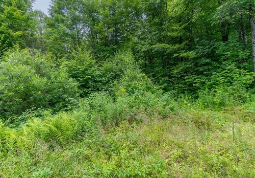 Terrain à vendre - 7 Imp. Ellora, Bolton-Est, J0E 1G0