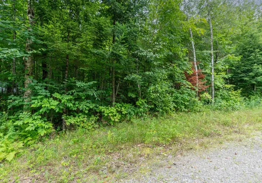 Terrain à vendre - 7 Imp. Ellora, Bolton-Est, J0E 1G0