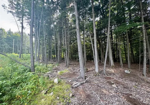 Land for Sale - 11 Ch. Peerless, Chelsea, J9B 0G4