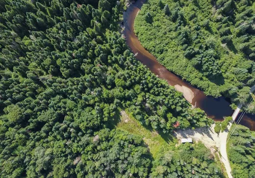 Terrain à vendre - 221 Ch. des Merisiers, Lac-aux-Sables, G0X 1M0