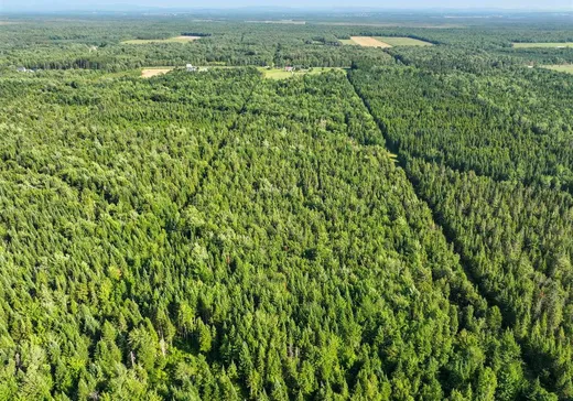 Land for Sale - 566Y Route 116, Dosquet, G0S 1H0
