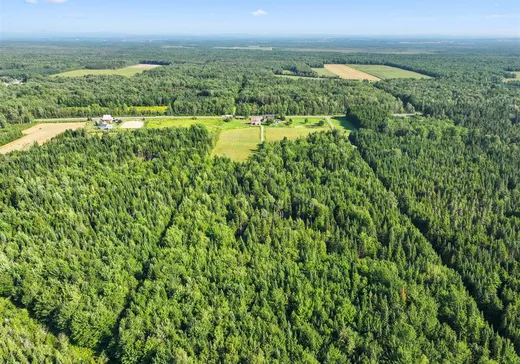 Land for Sale - 566Y Route 116, Dosquet, G0S 1H0