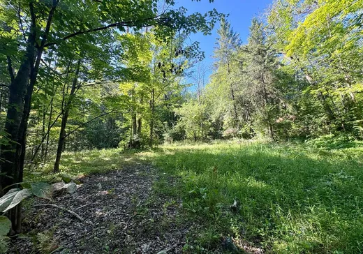 Land for sale - 8 Ch. Carnochan, Chelsea, J9B2L6