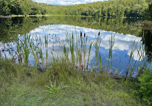 Terrain à vendre -  Rue Bigras, Brownsburg-Chatham, J8G 1A2