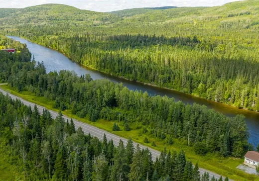 Terrain à vendre - 1727 Av. de la Madawaska, Dégelis, G5T 1P5