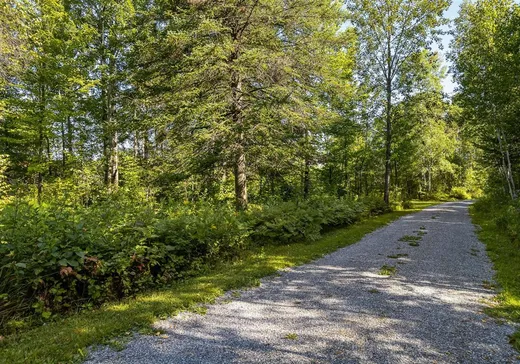 Terrain à vendre - 9 1re Avenue, Dudswell, J0B 1G0