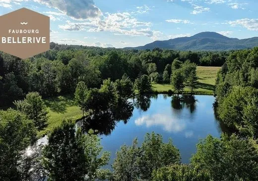Terrain à vendre - Allée Beller Allée Bellerive, Magog, J1X0P1