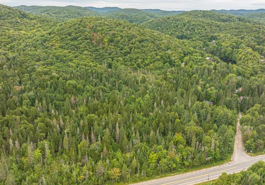 Terrain à vendre -  Ch. du Village, St-Adolphe d'Howard, J0T 2B0