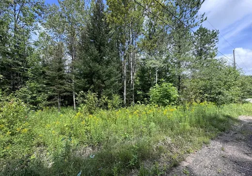 Terrain à vendre -  Rue des Goélands, Mont-Laurier, J9L 0E4