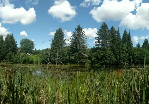 Terrain à vendre -  Rue des Goélands, Mont-Laurier, J9L 0E4