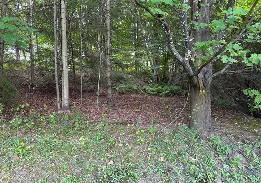 Terrain à vendre - X Rue des Andes, Victoriaville, G6P 6R5