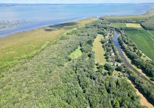 Terrain à vendre - X Ch. de la Coulée, Pierreville, J0G 1J0