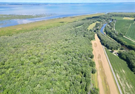 Terrain à vendre - X Ch. de la Coulée, Pierreville, J0G 1J0