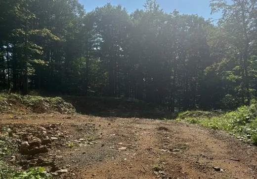 Terrain à vendre - 23 Imp. Makwa, Cantley, J8V 0M7
