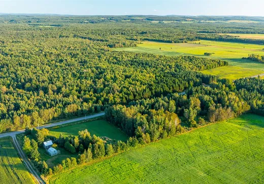 Terrain à vendre - 115 8e Rang O., Lyster, G0S 1V0