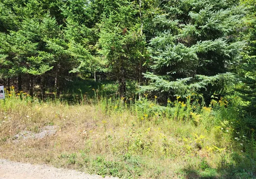 Land for Sale -  Rue de la Sapinière, Wentworth, J0T 1Y0