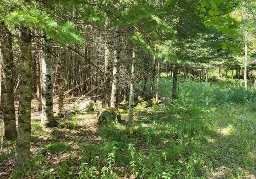 Land for Sale -  Rue de la Sapinière, Wentworth, J0T 1Y0
